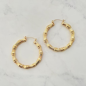 【GF2-50】Gold filled earring