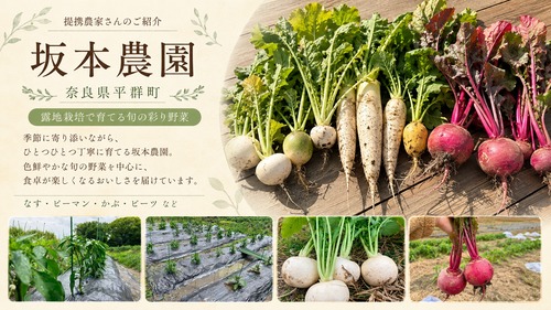 坂本農園の紹介