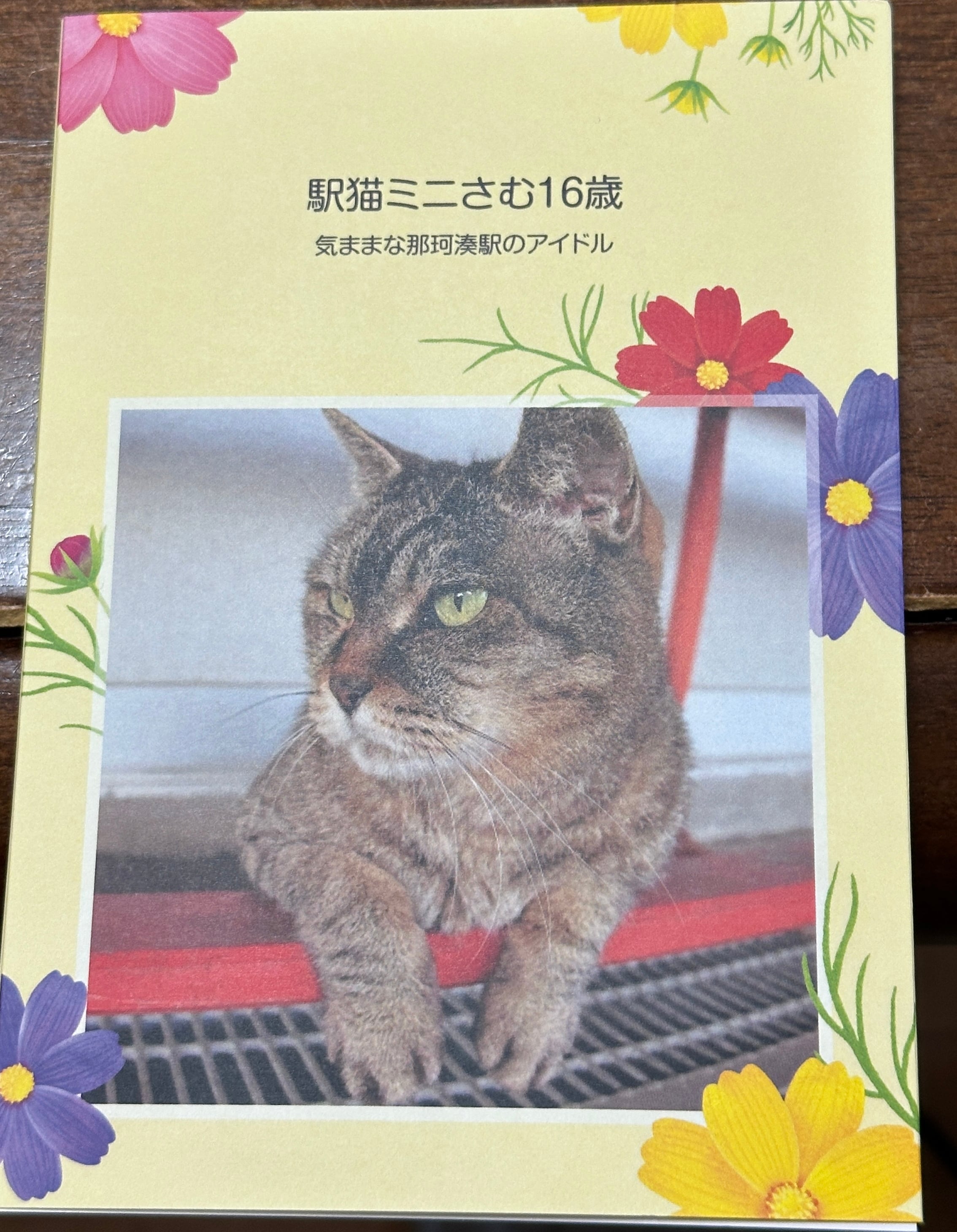 サスケ!! いとしき猫よ｜深瀬昌久 | PAY ID