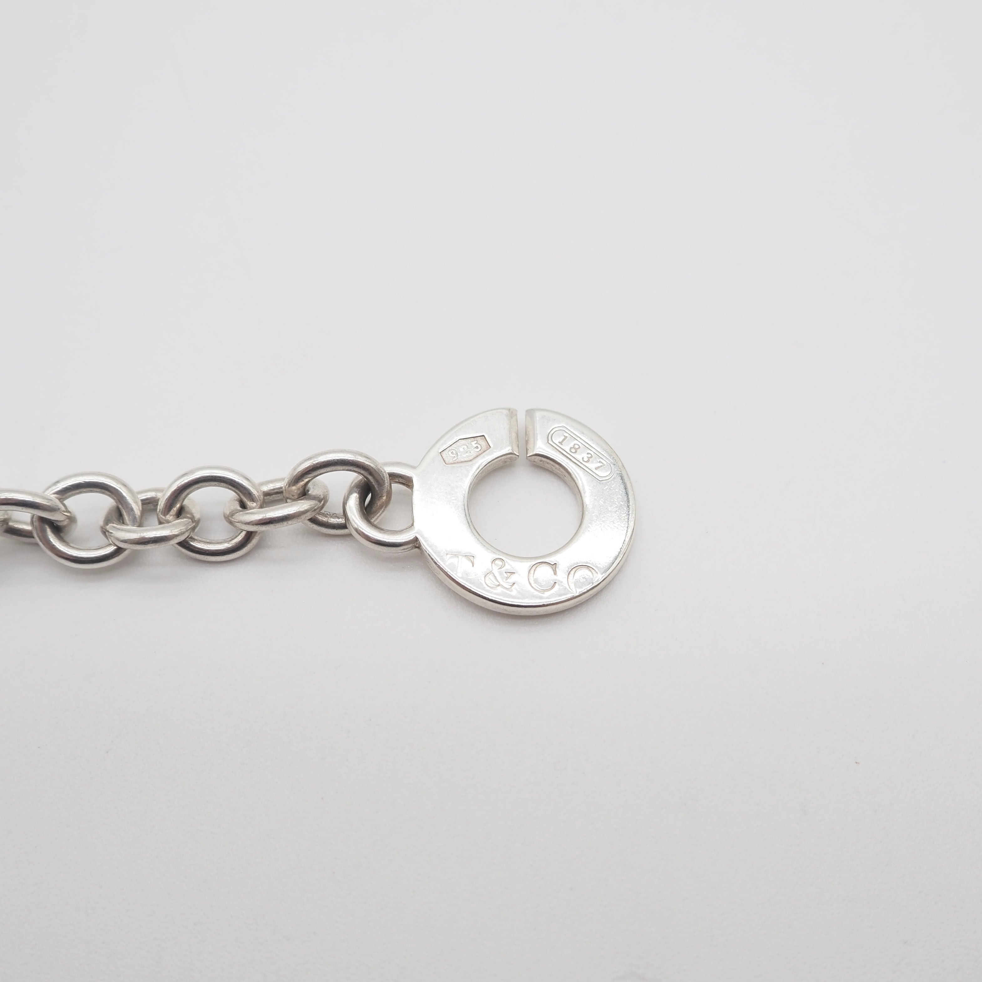 Tiffany&Co. 1837サークルクラスプ ネックレス シルバー925