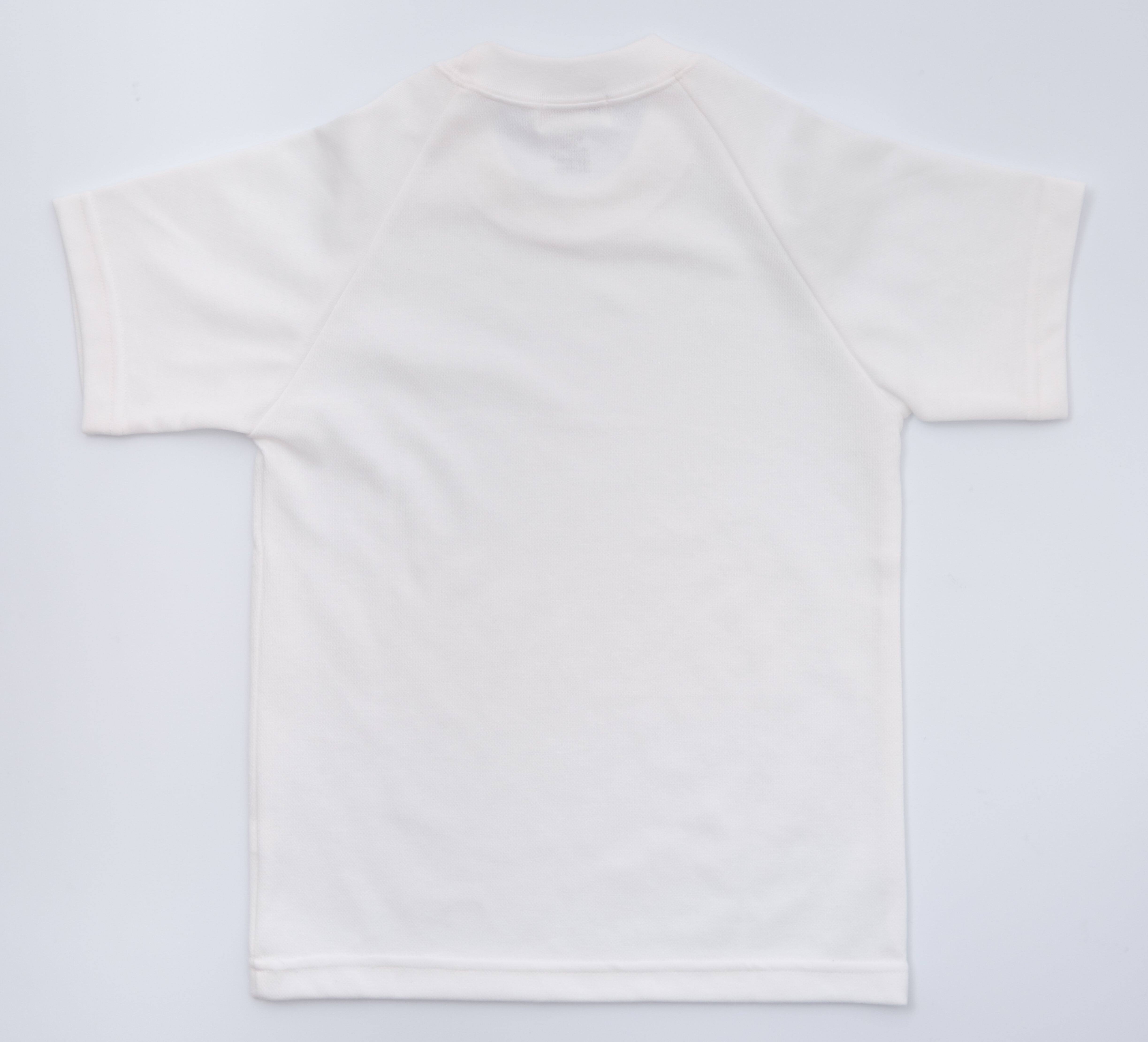 95ef8442cdda366733c338c93925b1