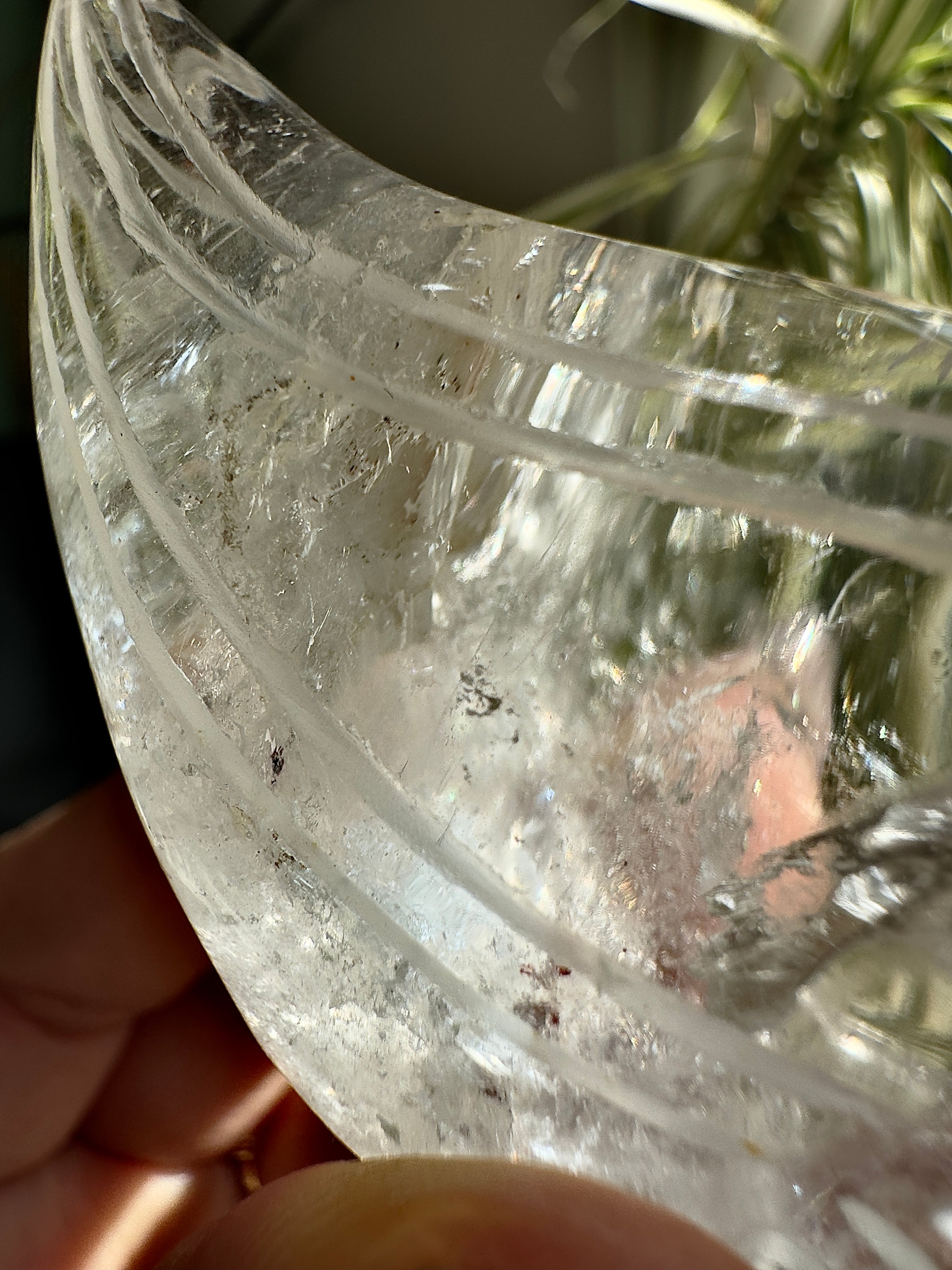 ブラジル産レムリアンシードトラベラースカル