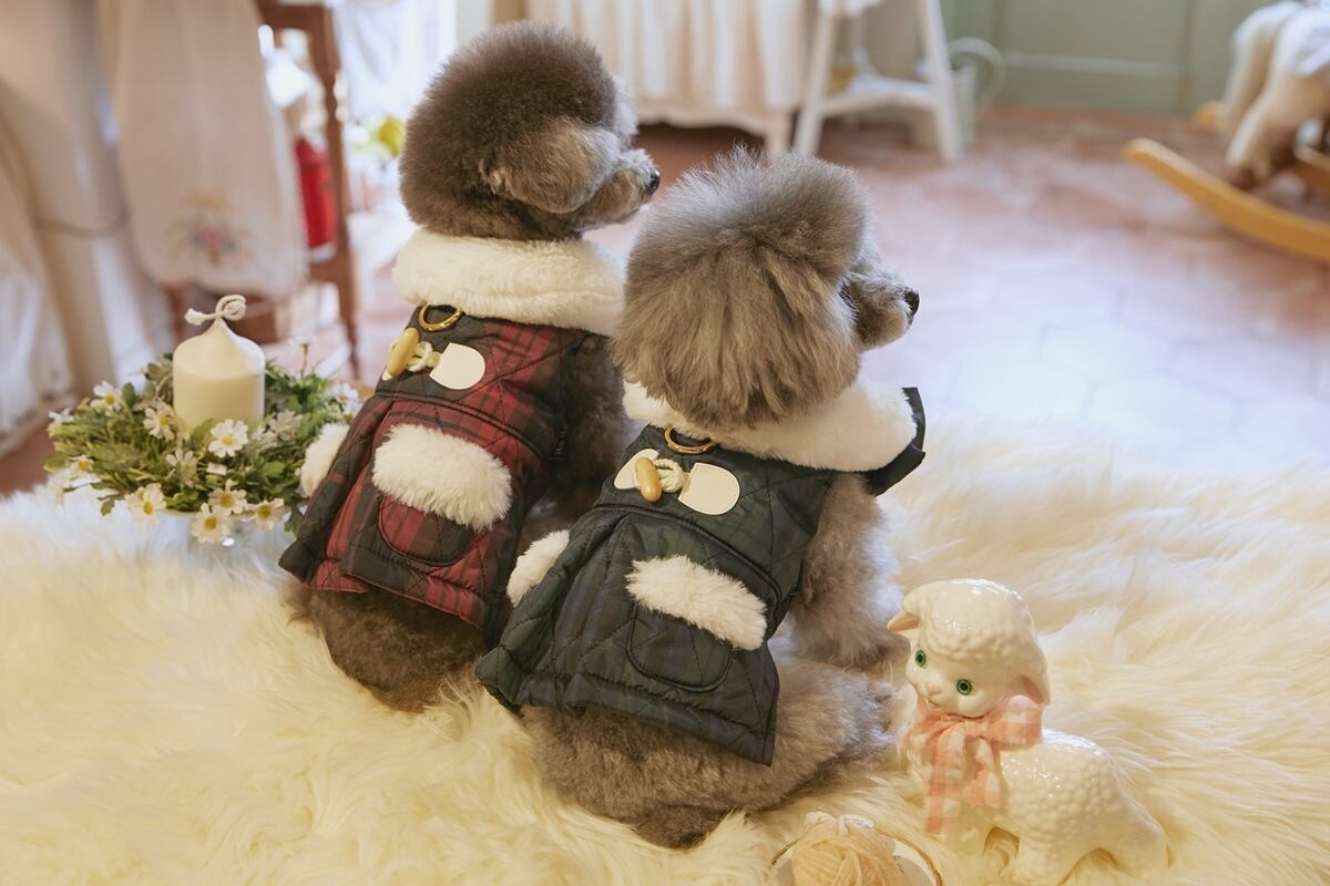 《予約》IL0024 Check Padding