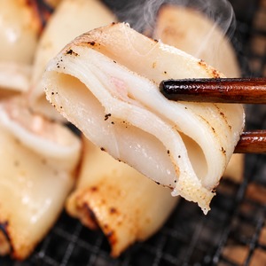日本海産【ソフト食感】白身いか3尾入｜添加物不使用・サラダや炙りで