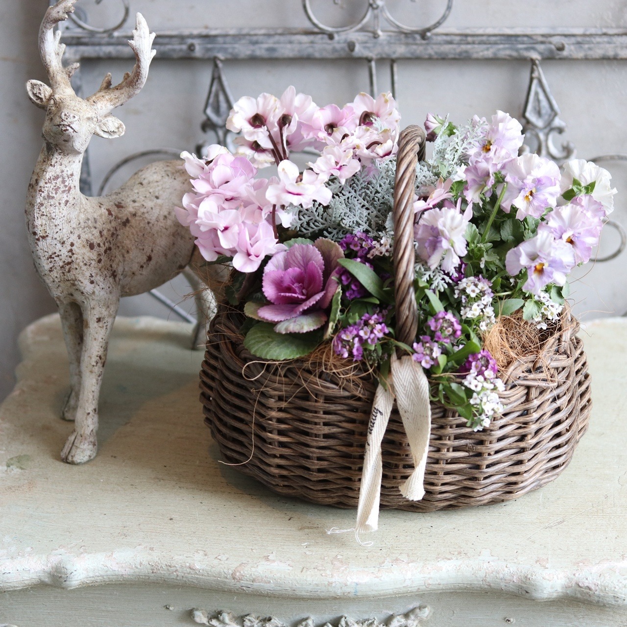 冬から春に楽しむ寄せ植え　ピンクの八重咲きシクラメンとビオラの春色のバスケットの寄せ植え　お正月にオススメ　届いてすぐ玄関に飾れる 　プレゼントにもオススメ　