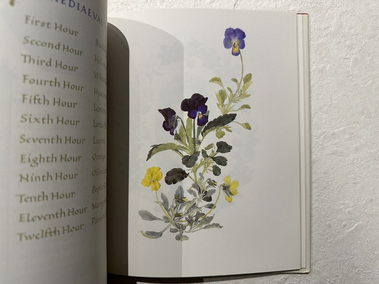 VW183】A Floral Calendar: And Other Flower Lore /visual book