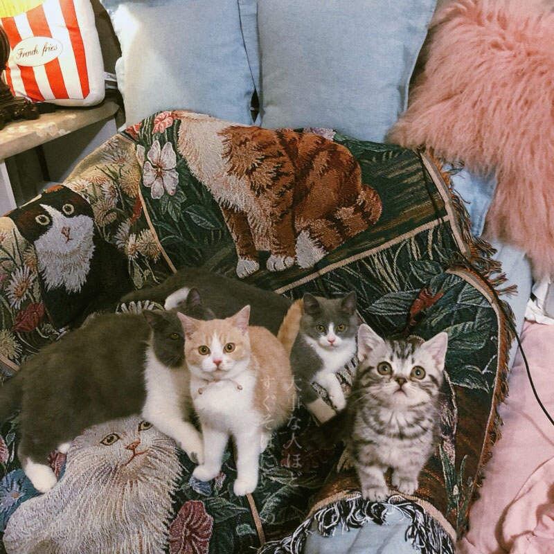 猫 マルチカバー ソファーカバー ヴィンテージラグ 148x126 夢見る猫