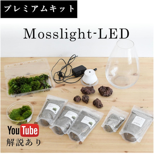 【プレミアムキット】Mosslight-LEDで作る苔テラリウム　◆動画解説付き