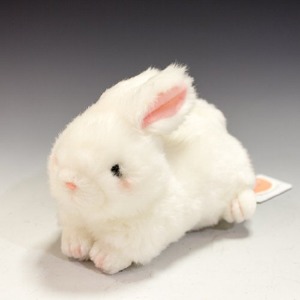 【在庫処分】たけのこ プチどりーむ ミニ A ウサギ 白 ぬいぐるみ 95010