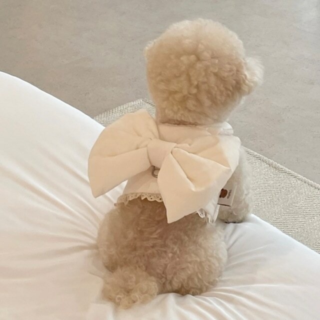 即納【meaningless】Ribbon Padding Harness(Ivory)サイズSM