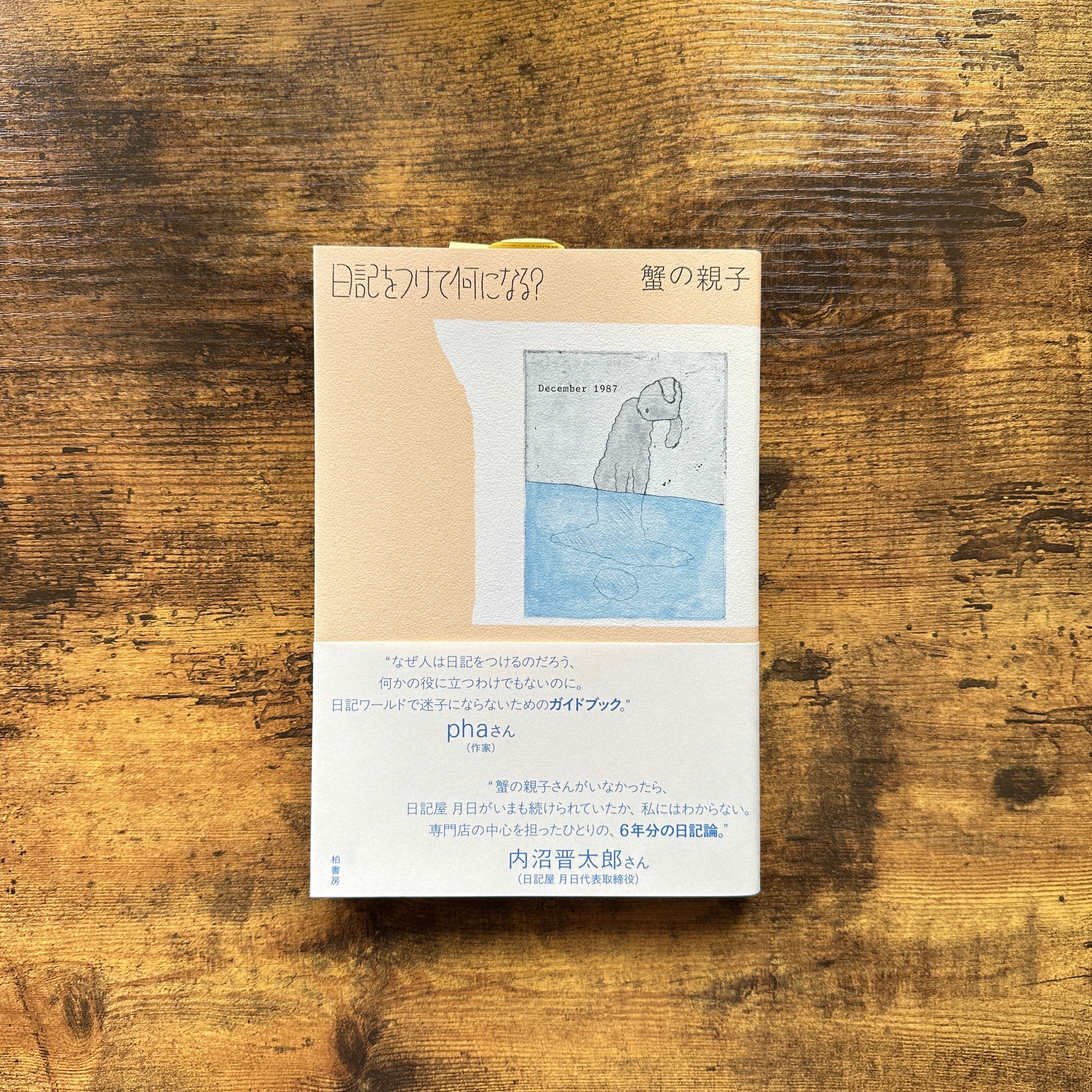 文庫『硝子戸の中』夏目漱石 | BAILEY BOOKS 公式通販サイト