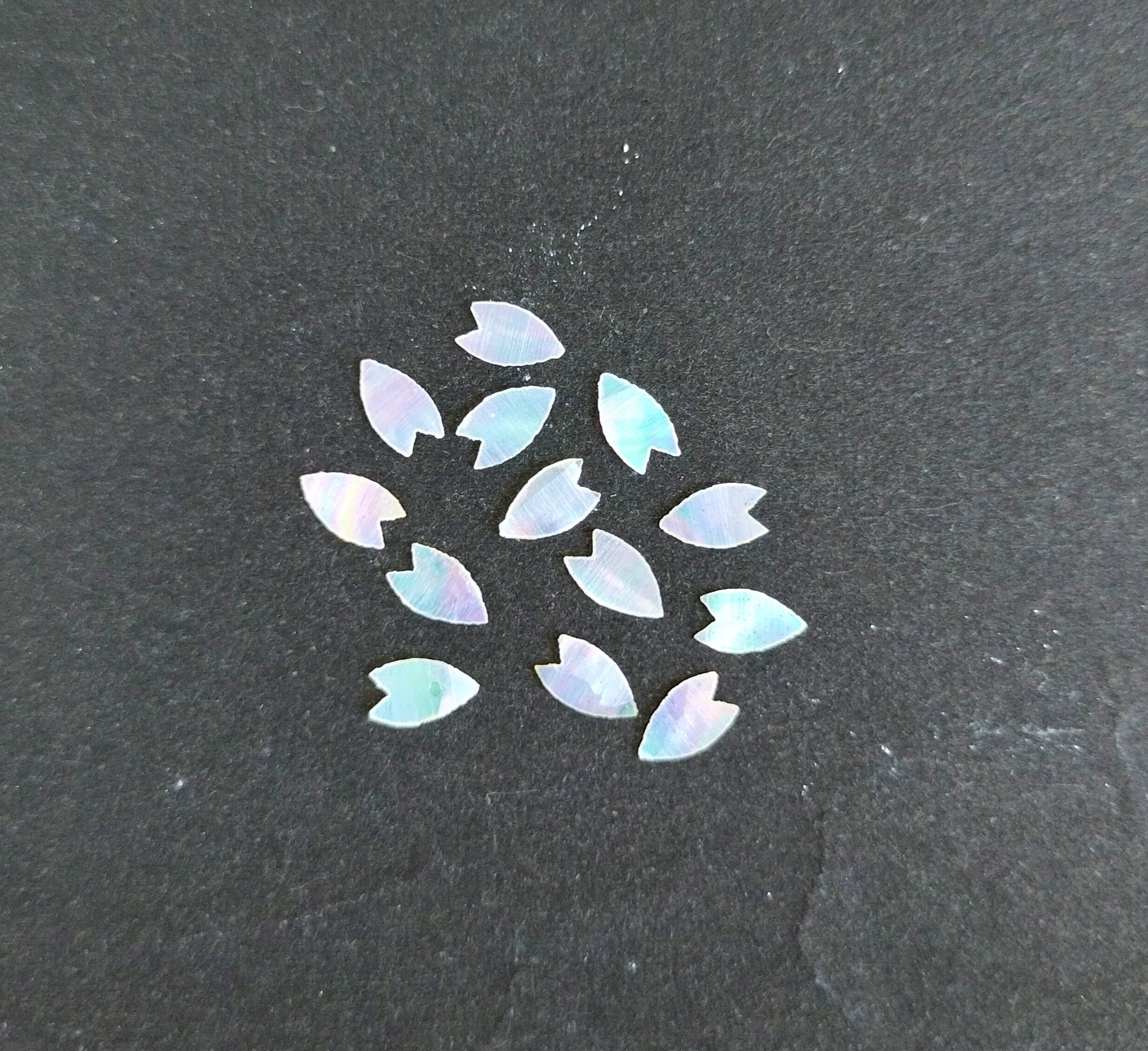 貝蝶 白蝶貝シート Silver-lip Oyster, Shirochogai sheet | 賀名生漆工芸