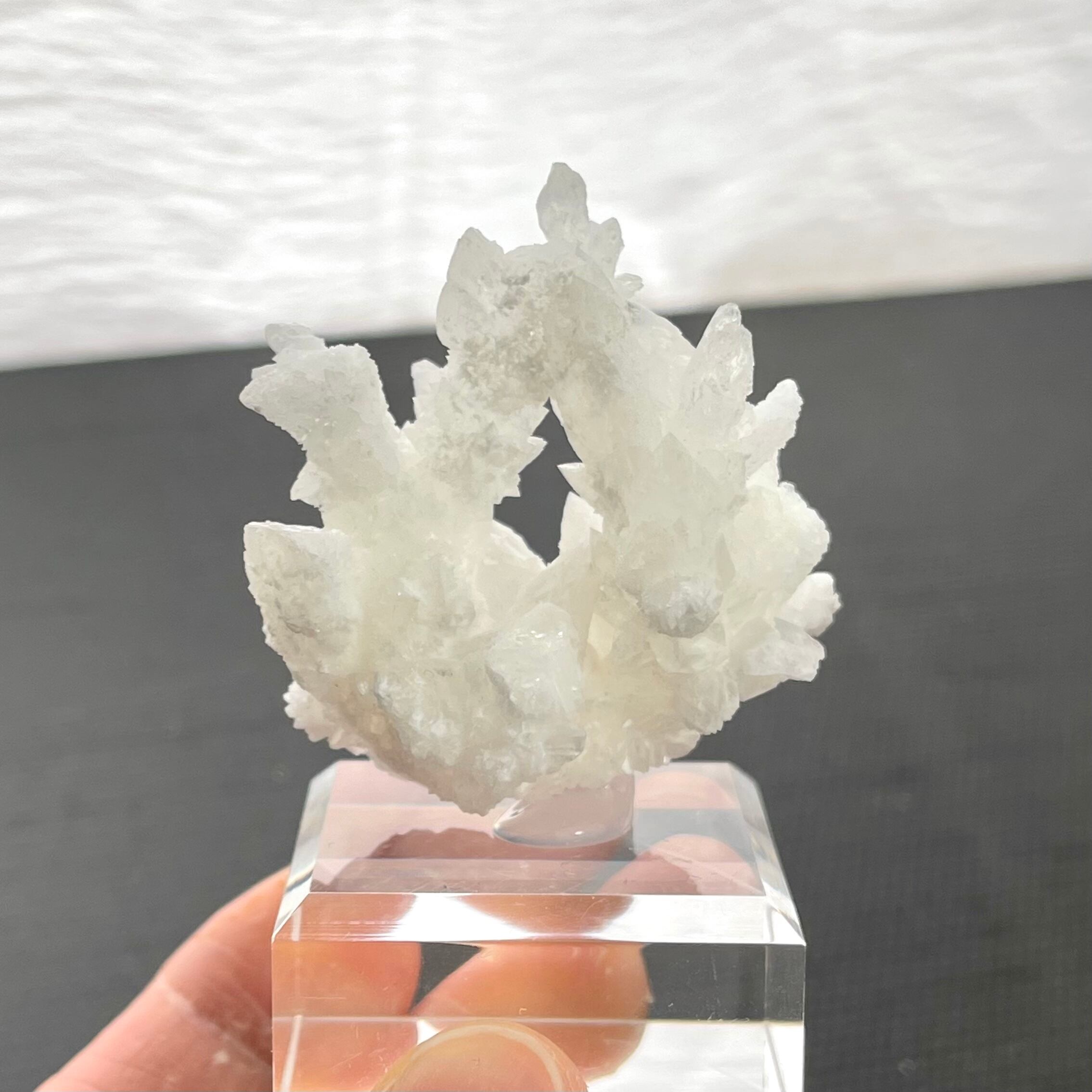 アラゴナイト【Aragonite】メキシコ産 | PEANUTS MINERALS