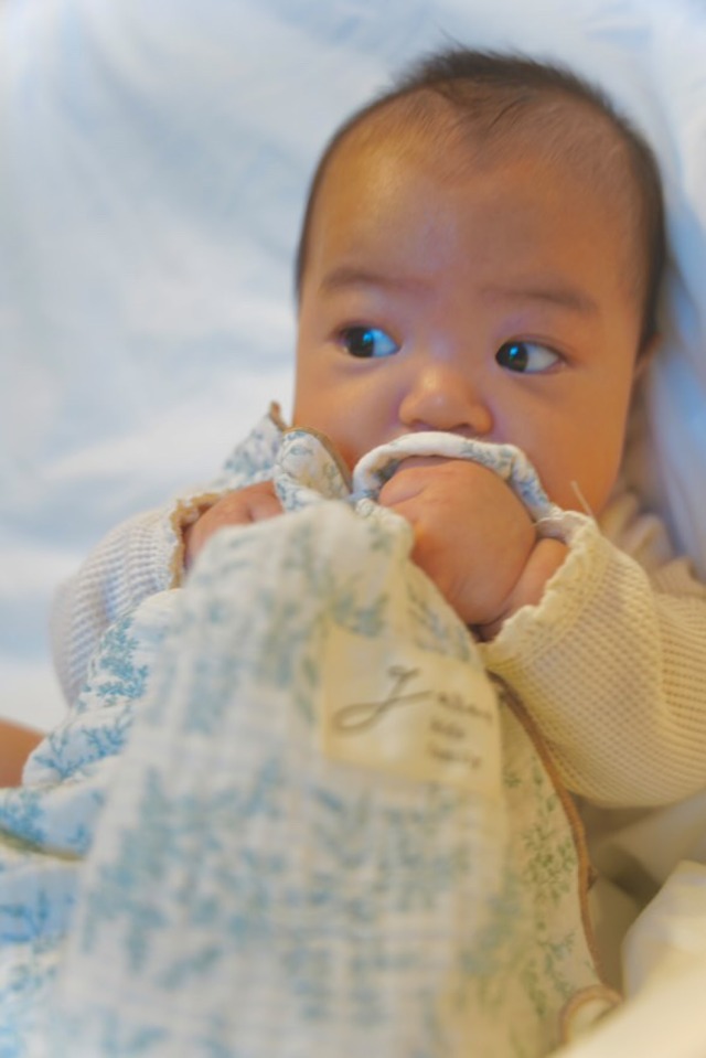 【即納】gallant Original Blanket