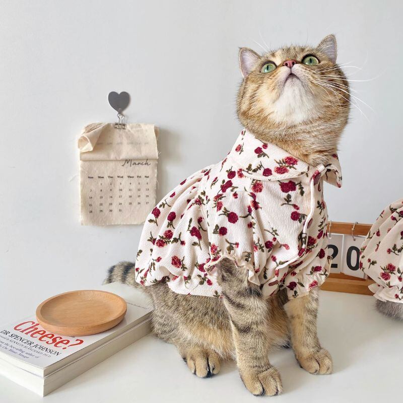 レトロローズ柄バルーンワンピース 犬服猫服 00629