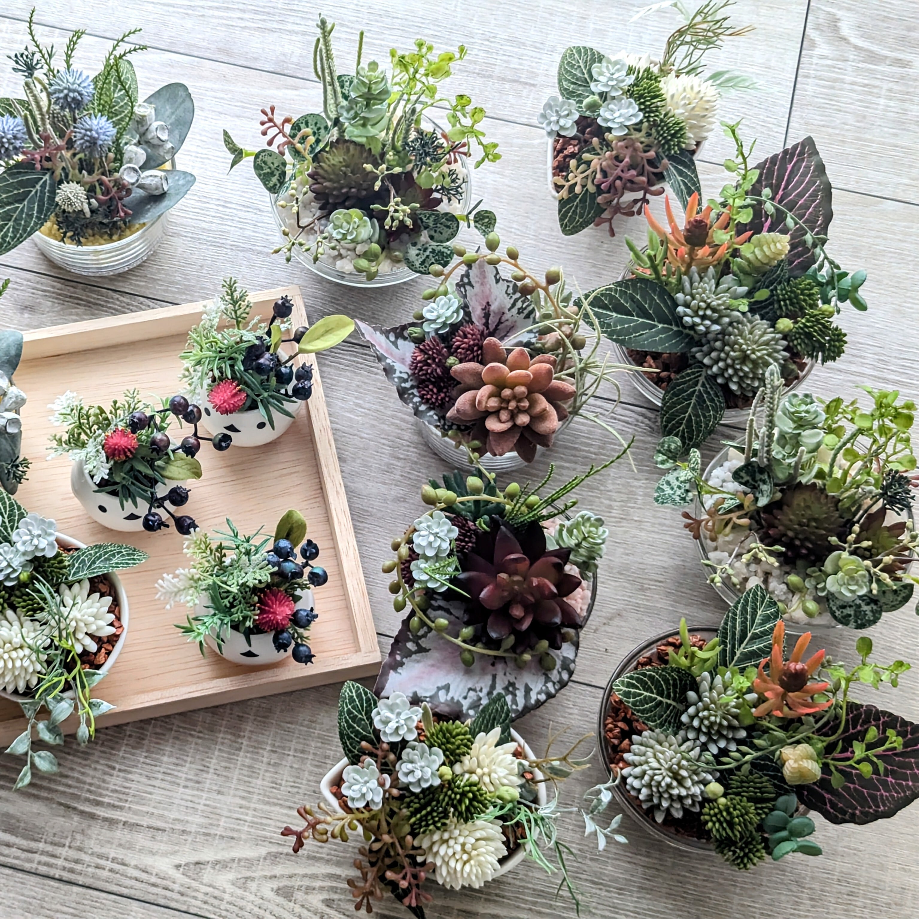 [非売品]ナチュラル多肉植物アレンジメント 壁掛け① 非売品]ナチュラル多肉植物アレンジメント 壁掛け①