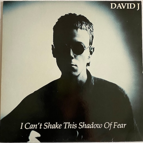 【12EP】David J – I Can't Shake This Shadow Of Fear