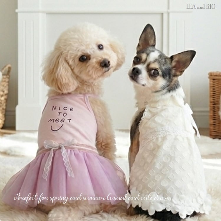 Oliver Gal OG68-2 Peek a Boo Frenchie フレブル 絵 アート