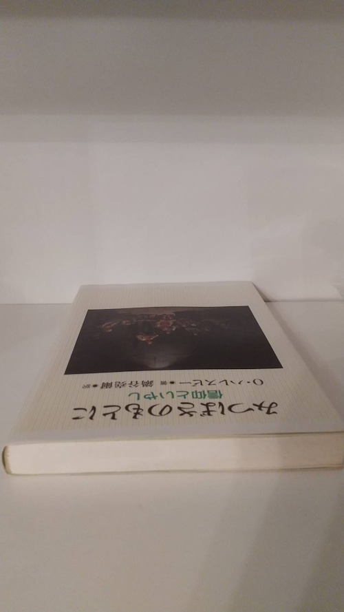 O・ハレスビー　みつばさのもとに　信仰といやしの商品画像4