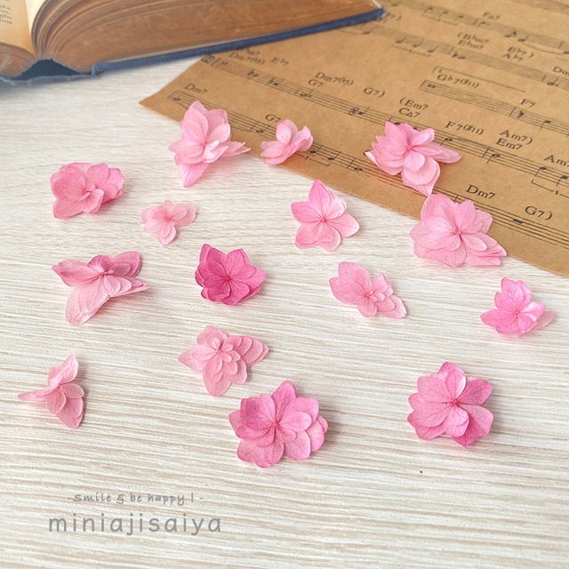 【 新商品 】あじさい　花びら　八重咲き【国産　ピンクローズ　15枚】あじさいのお福分け　 ＜ アジサイ 紫陽花 ＞