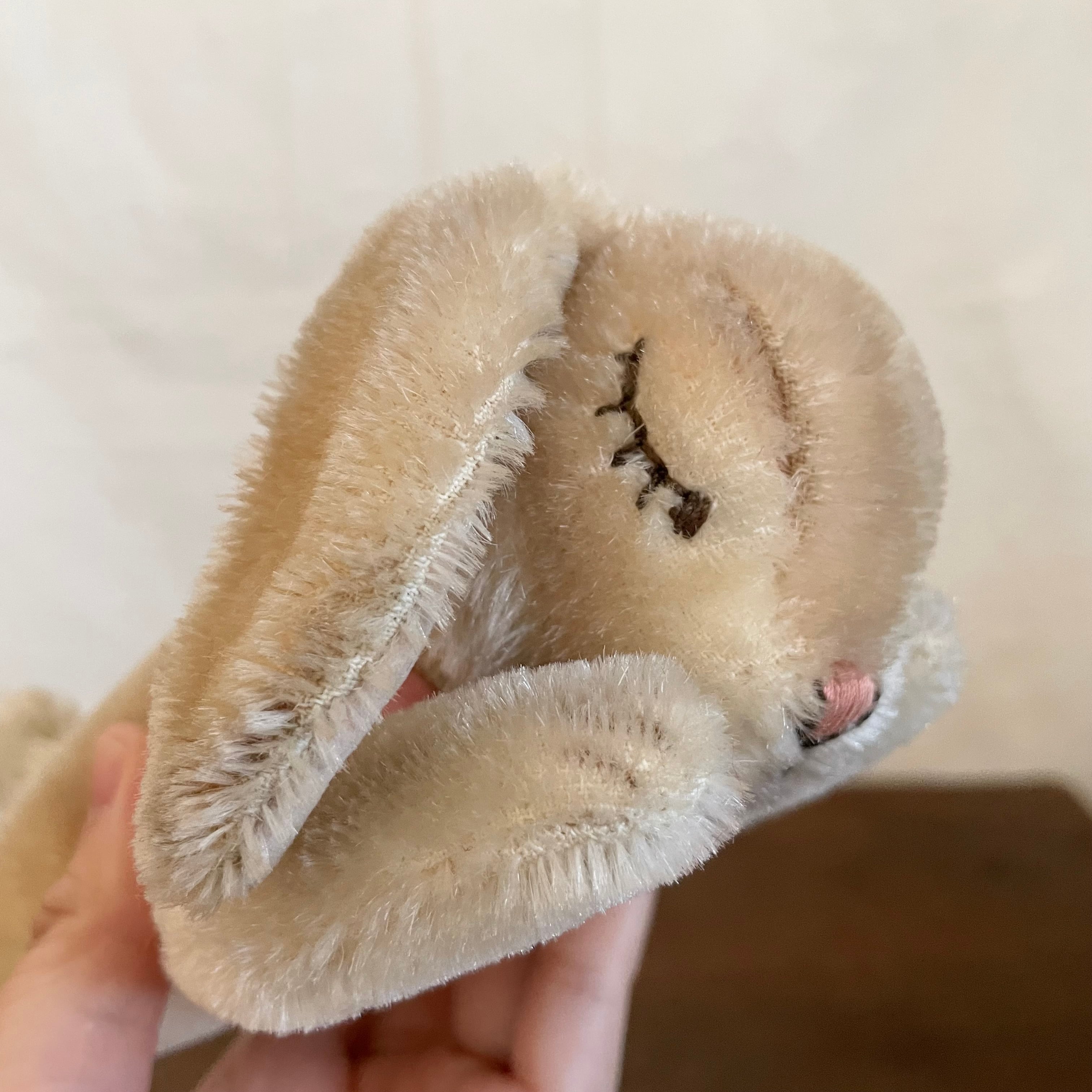 シュタイフのおやすみラビット | tsuitachi craft&brocante