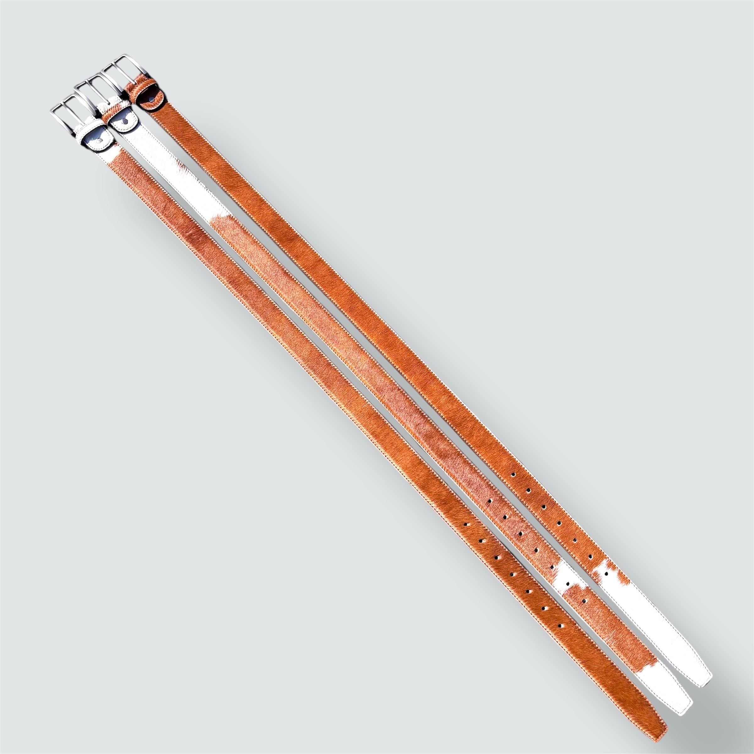 Zebra belt（brown） | future herz