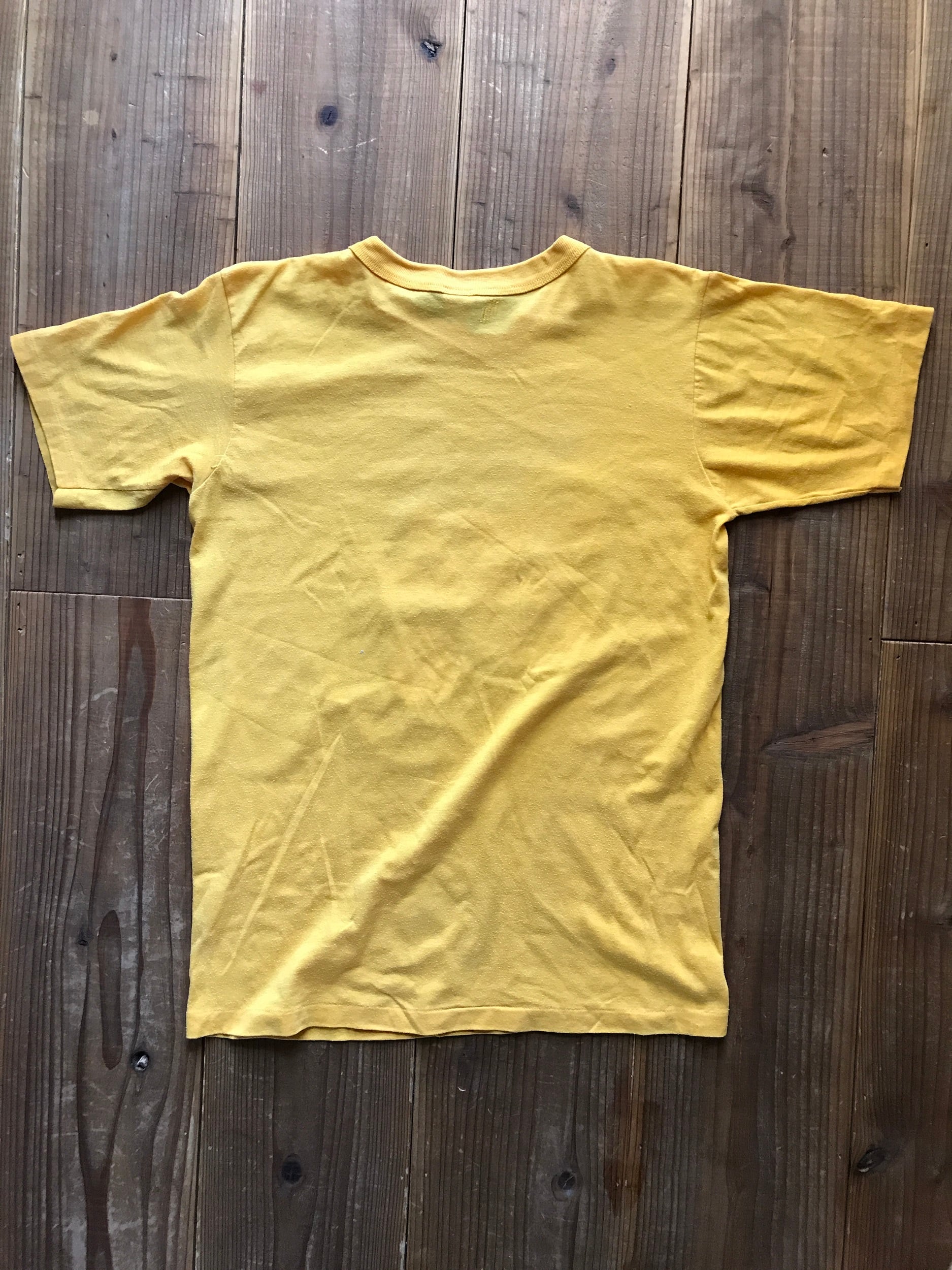70's Adver・Tee's "have a golden day!" Tシャツ 表記(M) USA製