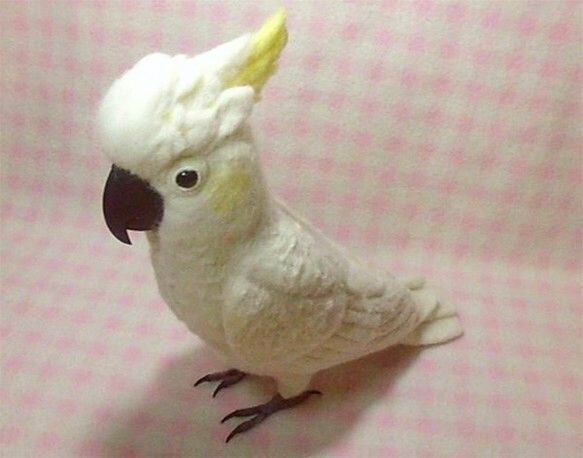 ほぼリアルサイズ♪ コバタン(コキサカオウム・キバタンに変更可能