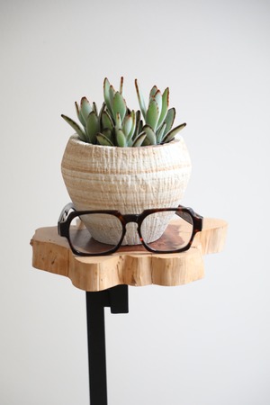 【S】月兎耳/Epithelantha micromeris　※ストーン鉢カバー付き