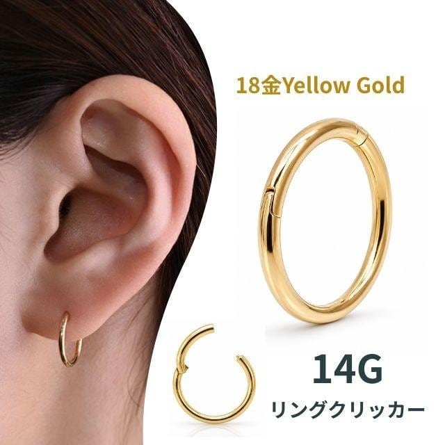 14G ANATOMETAL 限定商品/Limited Item アナトメタルのベゼルセット