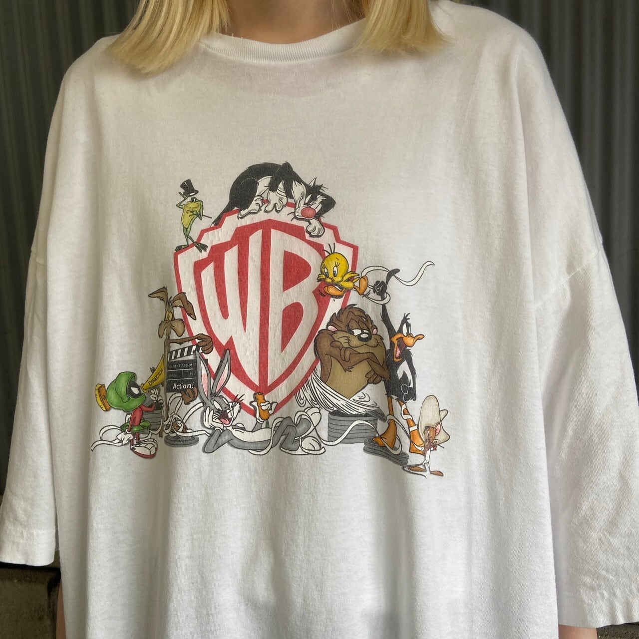 激レア ヴィンテージ USA製 ワーナーブラザーズ キャラクター Tシャツ 古着 90年代〜 size:XL程度 【 Pinky and The Brain 】ピンキーアンド