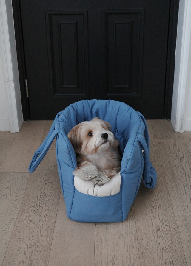 〈予約アイテム〉OHDIBS / DAY CARRY BAG(pale blue)