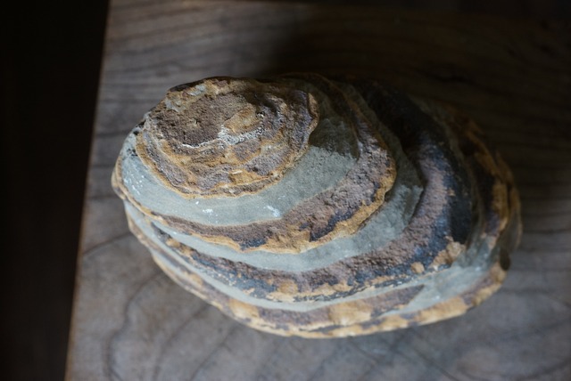 グランドキャニオン産堆積岩