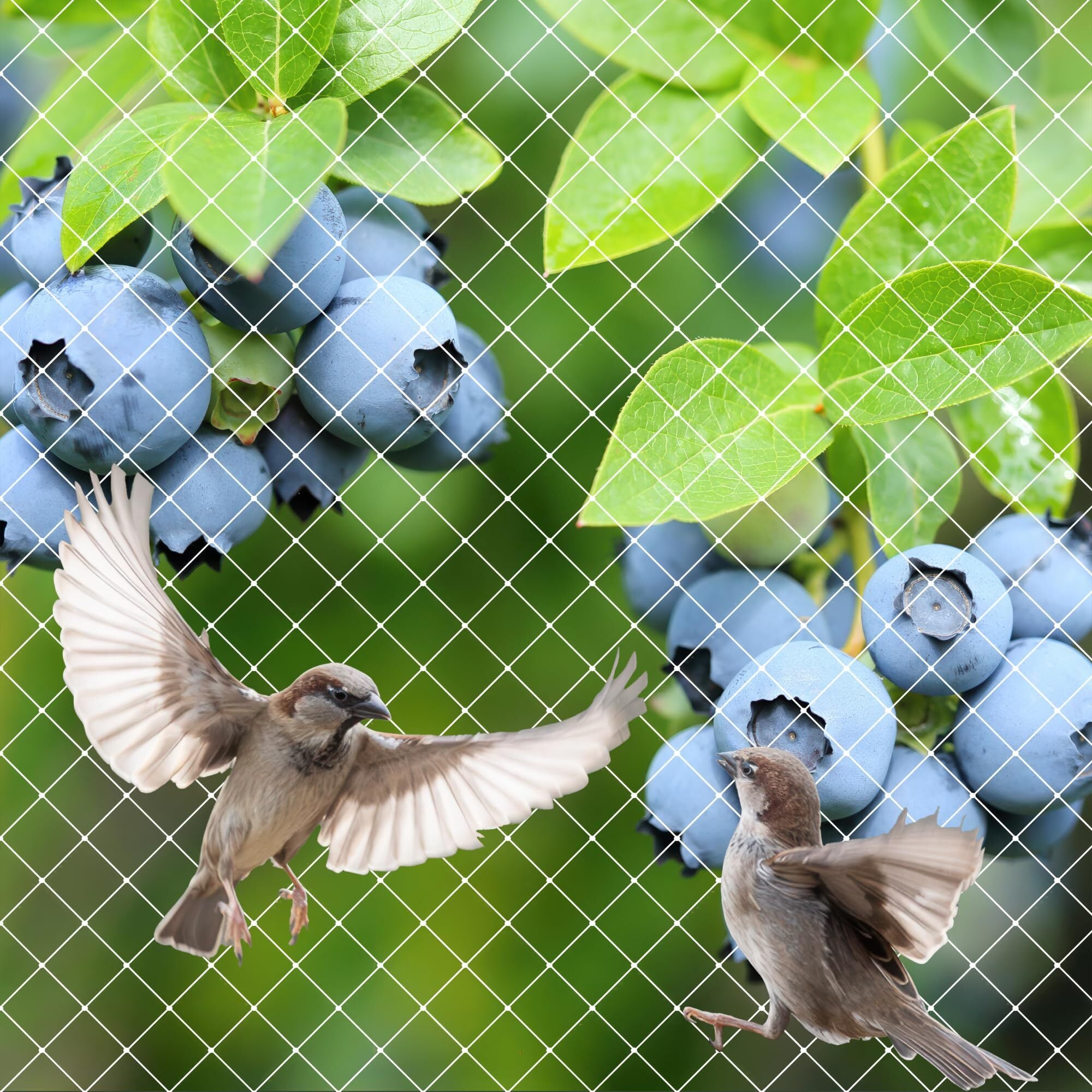 9628e881e54dc1fdf87f2e3e8f5b67