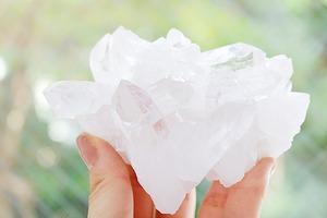 何でもうなぎ②