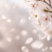 4月限定｜花霞 — PÉTALE