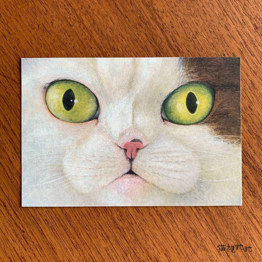 町田尚子 『ネコヅメのよる』白木2種 | erimaki