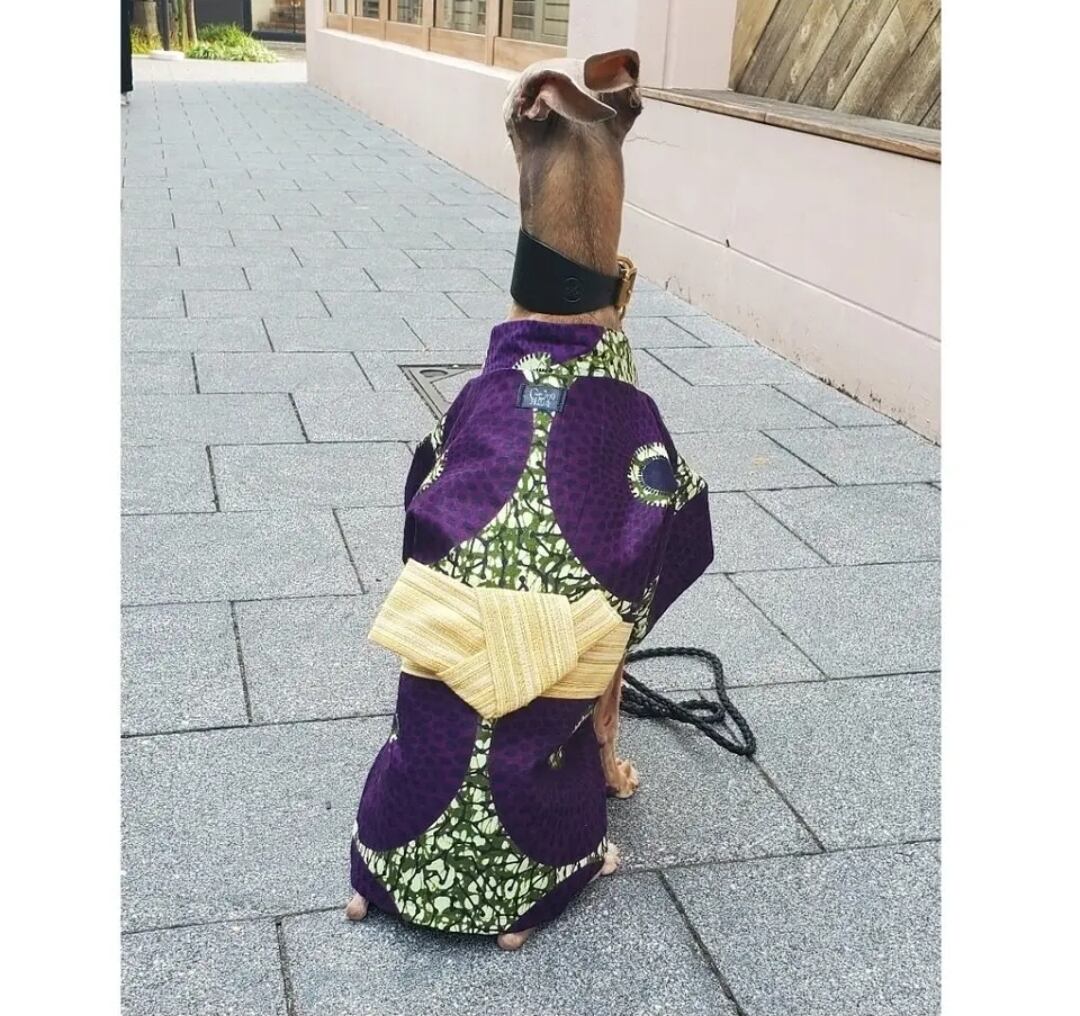 アフリカン浴衣(A・B・C) イタグレ | gino洋品店