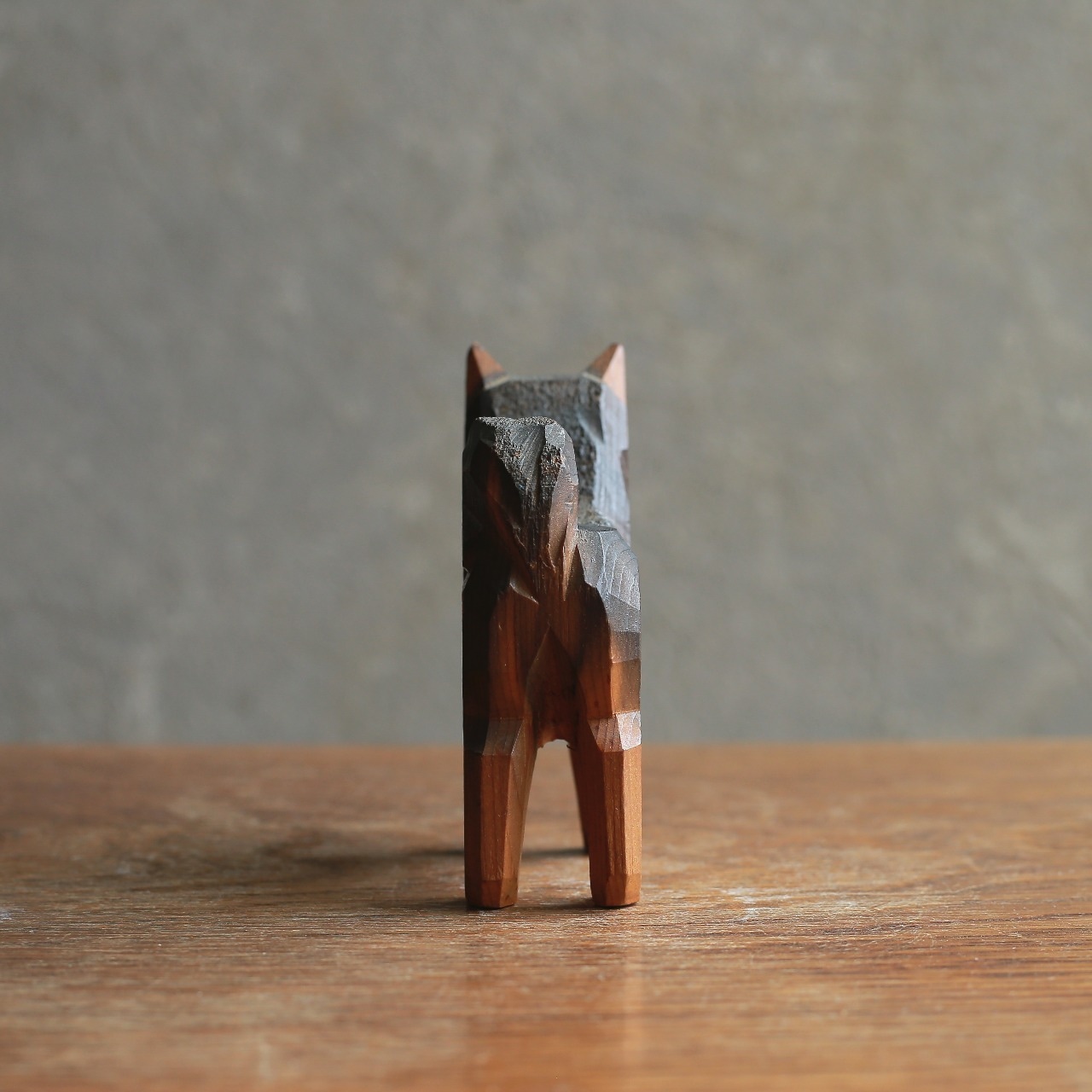 凛々しい立ち姿で、熱い視線を送る犬 1