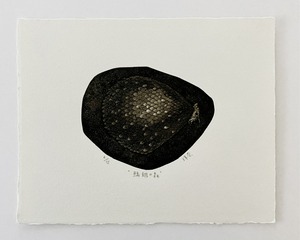荒木珠奈「鱗翅の森」ARAKI Tamana/ etching, aquatint