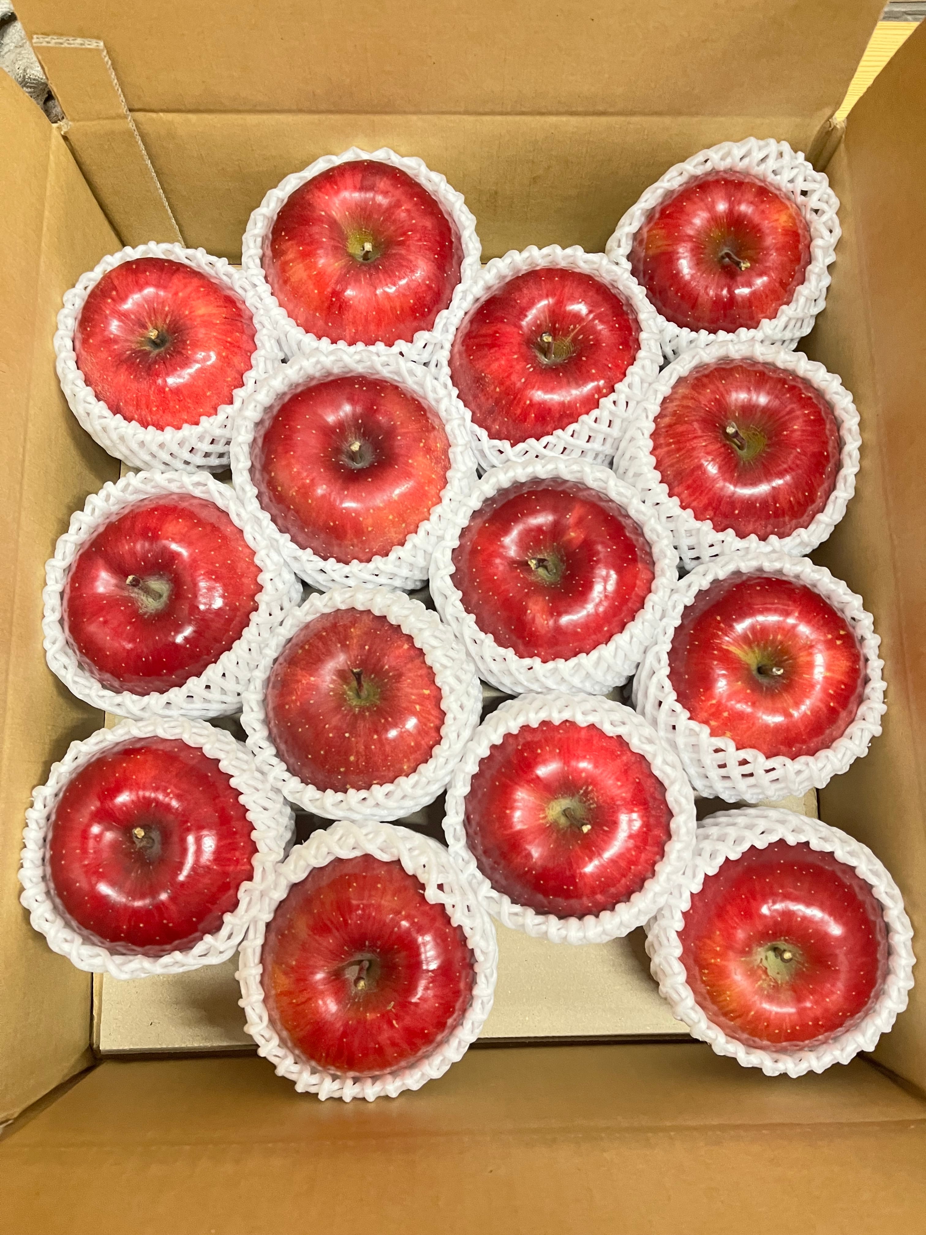 葉取らずサンふじ贈答用　10kg