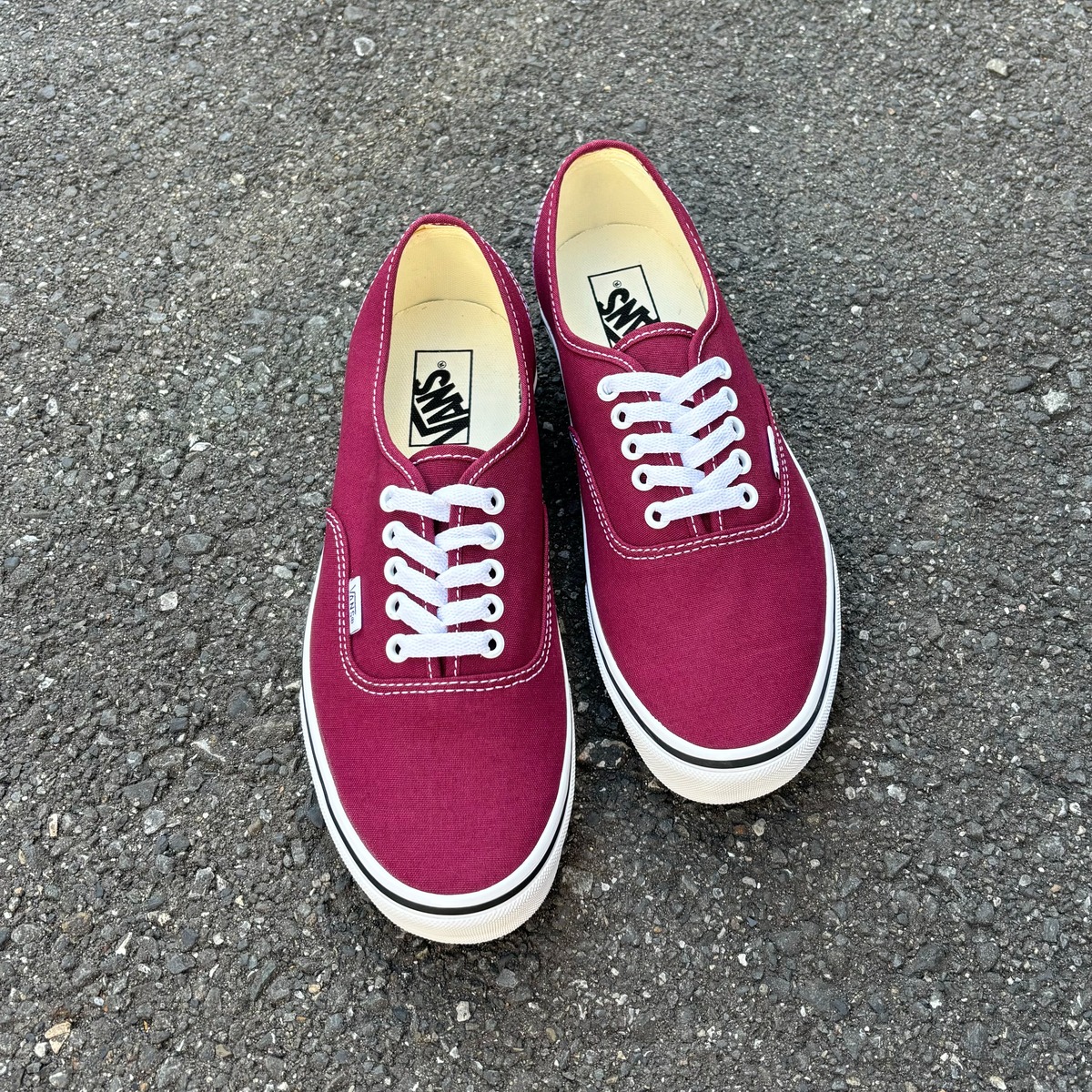 VANS Authentic Theory Rhododendron / ヴァンズ オーセンティック 
