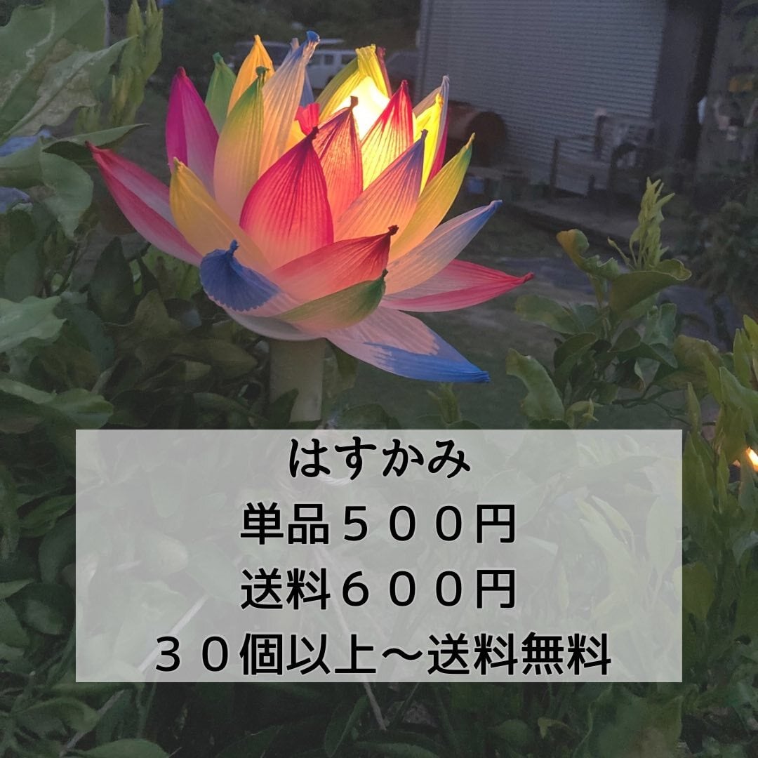[入手困難] 蓮の花紙 蓮紙 蓮ワーク 8色、計24束 入手困難] 蓮の花紙 蓮紙 蓮ワーク 8色、計24束
