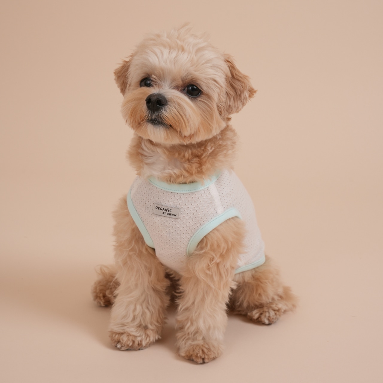 【予約】Organic Summer Simple Sleeveless Tee (mesh)｜Mint - 2