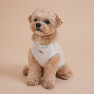 【予約】Organic Summer Simple Sleeveless Tee (mesh)｜Mint