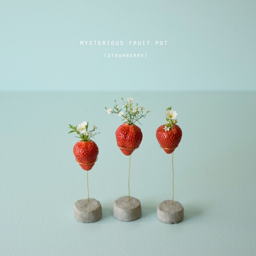 mysterious fruit pot (strawberry) フラワーベース