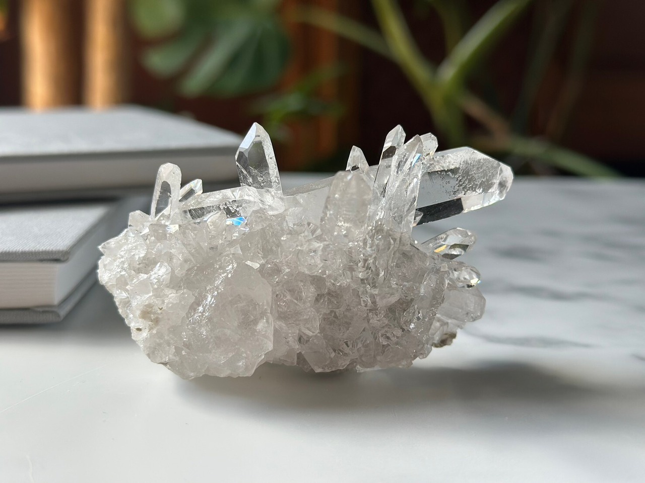 オートクチュール25