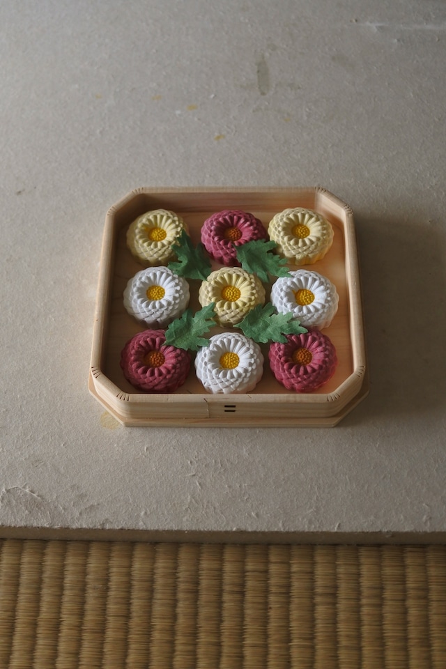 重陽 観菊