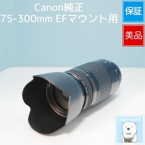 Canon純正 75-300mm EFマウント用 望遠レンズ 美品 a6425