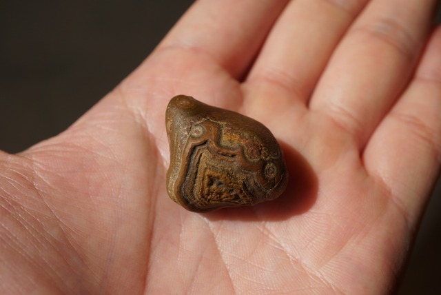 ゴビアゲート Gobi Agate 1315